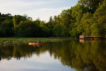 Lake Lake
