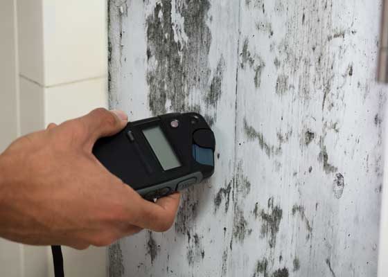 A Person's Hand Measuring Wetness Of Moldy Wall
